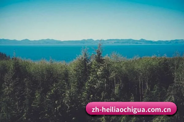 粉丝基数飙升 - 深挖娱乐圈名利场，独家猛料频出，平台日均产出上百条无注水热搜，彻底打响业内名号。